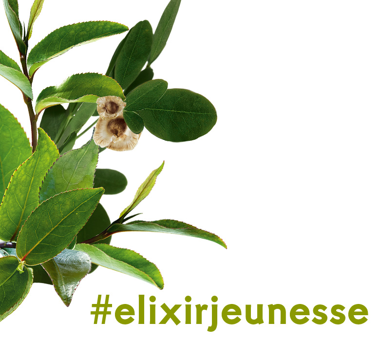 Inšipácia na darčeky