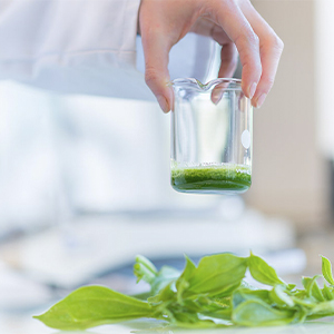 Act Beautifule_month