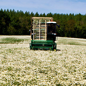 Act Beautifule_month