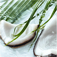 Tekuté mydlo na ruky Kokos